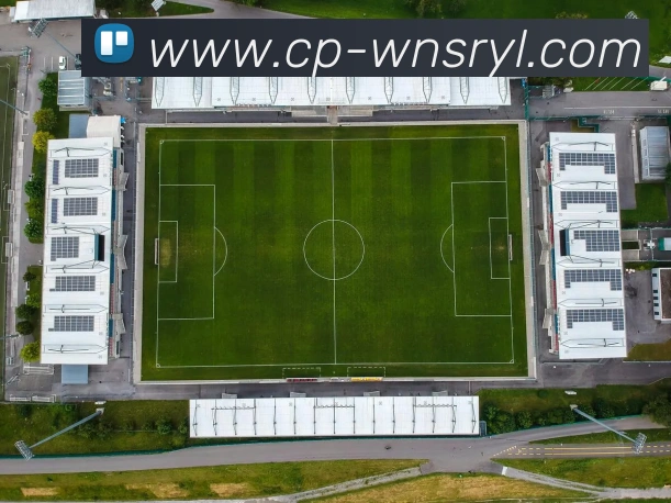 App Interface Preview