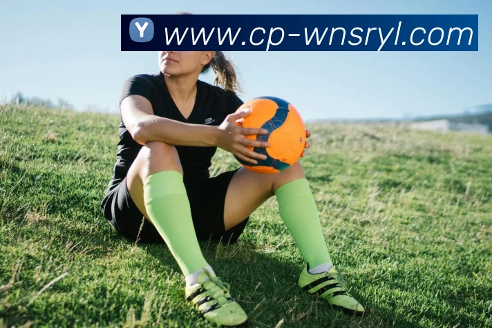 威尼斯人官网APP 封面图